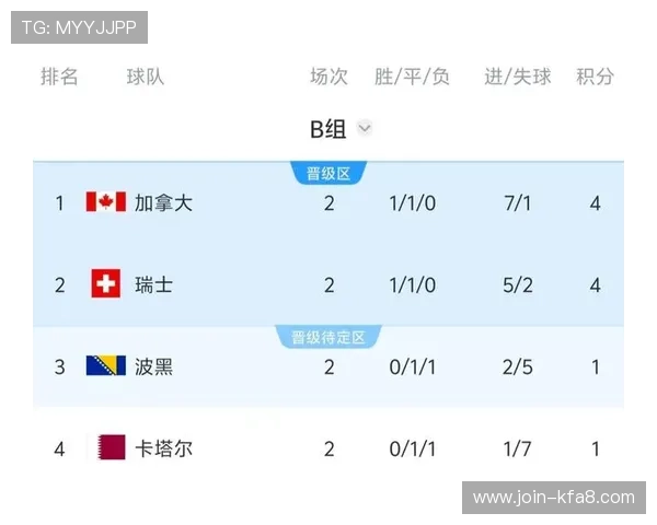 世界杯波黑对卡塔尔比赛赔率分析：专家预测与投注建议